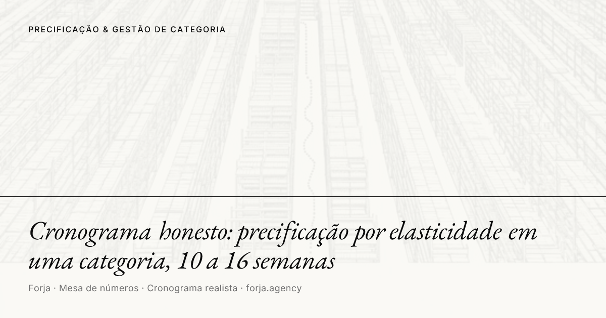 Cronograma honesto: precificação por elasticidade em uma categoria, 10 a 16 semanas