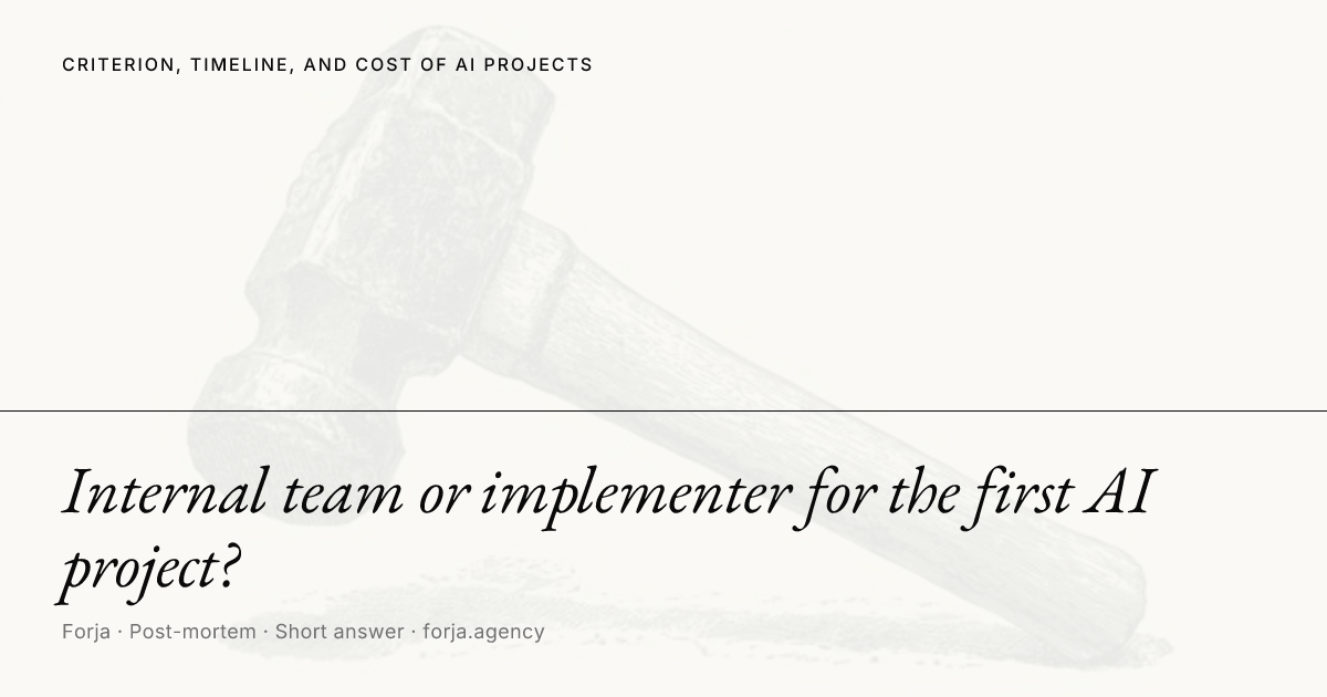 Internal team or implementer for the first AI project?